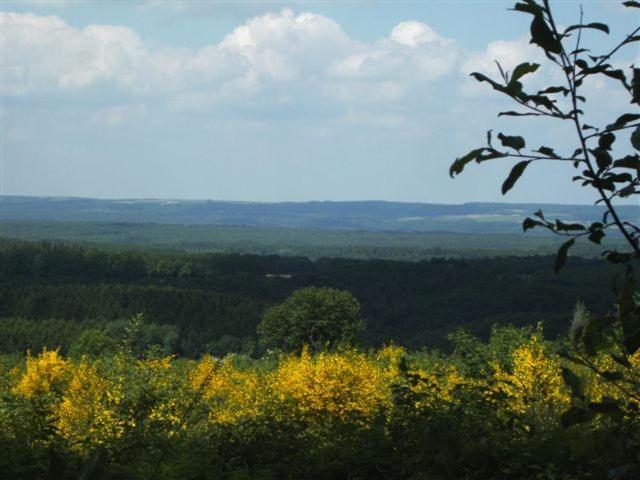 Appartement Ideal Pres De Durbuy / Ideaal Appartement Nabij Durbuy / Ideal Apartment Near Durbuy Hotton Bagian luar foto